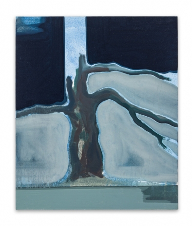 Johannes Kofler, Zeder bei Nacht, 2021 , Galerie Elisabeth & Klaus Thoman