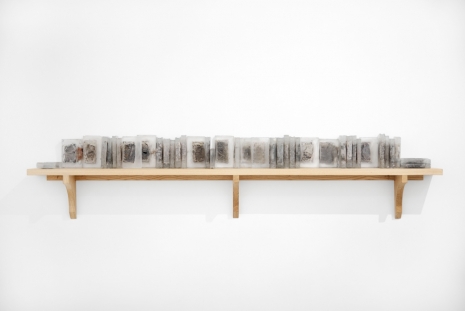 Pascal Convert, Bibliothèque clandestine de Victor Serge (Victor Serge's clandestine library), 2020 , Galerie RX