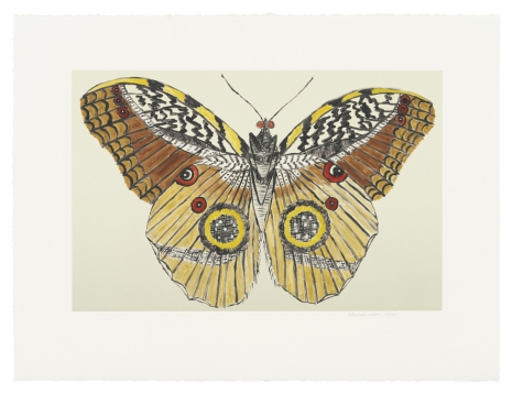 Leidy Churchman, Butterfly Eyes (1), 2023 , Matthew Marks Gallery
