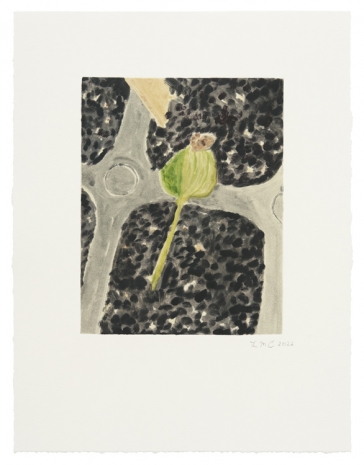 Leidy Churchman, Cucumber Sprout (2), 2022 , Matthew Marks Gallery