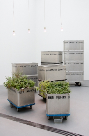 Lois Weinberger , Mobile Landscape, 2003 , KETELEER GALLERY