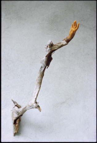 Lois Weinberger , Untitled, 1996 , KETELEER GALLERY