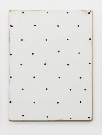 Zin Taylor, Thoughts collected on the surface of a panel (these thirty-six points are a field of thought), 2013, Supportico Lopez