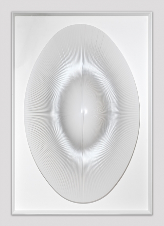 Alberto Biasi, Luce ovale dinamica, 2011, Cardi Gallery