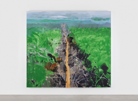 Brian Maguire, The Clearcut Amazon, 2023 , Kerlin Gallery