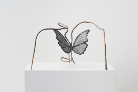 Grace Schwindt, Butterfly, 2022 , Zeno X Gallery