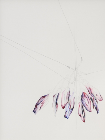 Grace Schwindt, Fritillaria Imperialis, 2020 , Zeno X Gallery