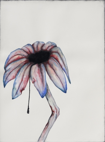 Grace Schwindt, Echinacea, 2023 , Zeno X Gallery