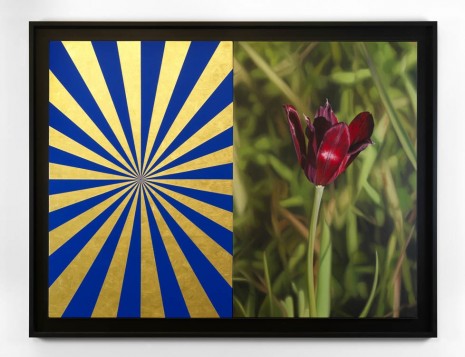 Mustafa Hulusi, Cyprus Black Tulip 3 (M) and Blue and Gold Expander (M), 2013, Max Wigram Gallery (closed)