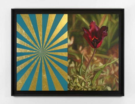 Mustafa Hulusi, Cyprus Black Tulip 6 (M) and Turquoise and Gold Expander (M), 2013, Max Wigram Gallery (closed)