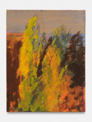 Christine Safa , Cyprès jaunes, 2022 , Bortolami Gallery