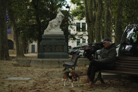 Alain Guiraudie, Homme et son chien, statue Victor Hugo, 2021 , Galerie Buchholz