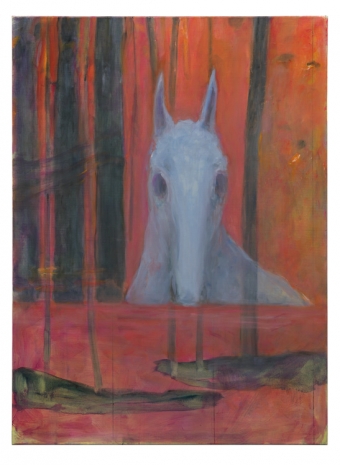 Valérie Favre, Pferd, 2022 / 23, Galerie Barbara Thumm