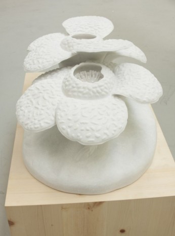 Yutaka Sone, Rafflesia Flower, 2010, David Zwirner