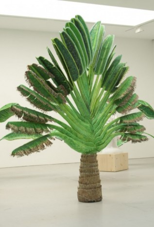 Yutaka Sone, Tropical Composition/Travelers palm no1, 2011, David Zwirner