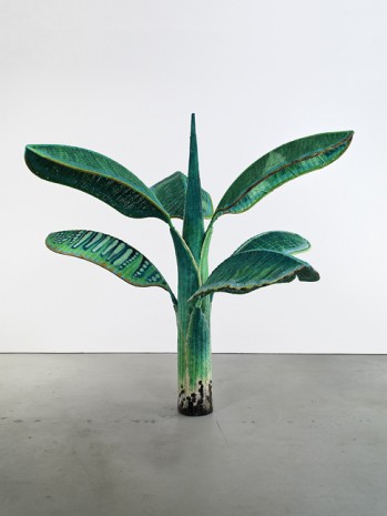 Yutaka Sone, Tropical Composition/Banana tree no1, 2008-2010, David Zwirner