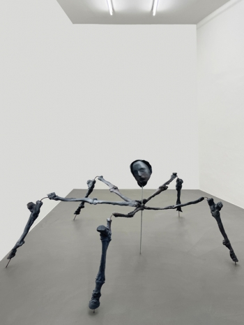 Giulia Cenci , dry salvages (spider), 2022, Mai 36 Galerie