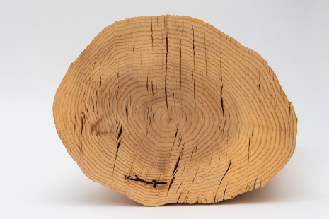 Kazuo Kadonaga, Wood No. 5 CE, 1982, Nonaka-Hill