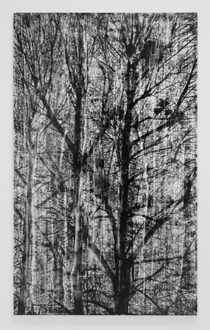 Gregor Hildebrandt, „Wind weht durch die Bäume“, 2023 , Almine Rech