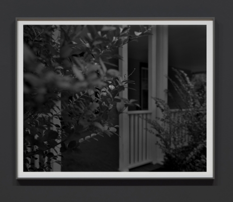 Dawoud Bey, Untitled #4 (Leaves and Porch), 2017 , Sean Kelly