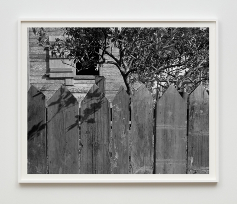 Dawoud Bey, Picket Fence, Tree, and Cabin, 2019 , Sean Kelly