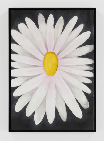 Andrew Sim, Portrait of a daisy, 2023 , Anton Kern Gallery
