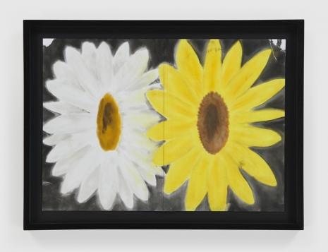 Andrew Sim, A daisy and a sunflower, 2023 , Anton Kern Gallery