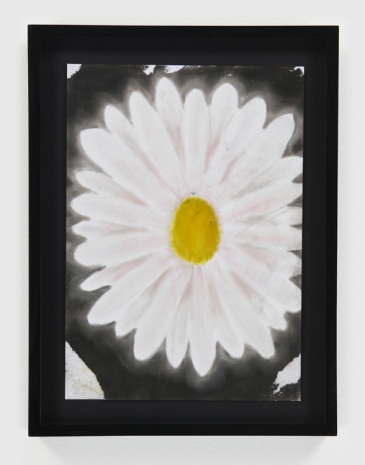 Andrew Sim, A daisy, 2023 , Anton Kern Gallery