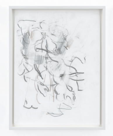 David Schutter , Untitled (No. 12), 2012 , Galería Ehrhardt Flórez