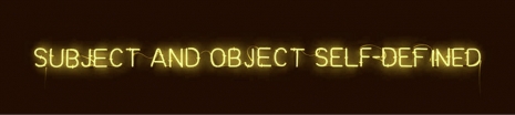 Joseph Kosuth , Subject and Object Self-Defined, 1966, Cardi Gallery