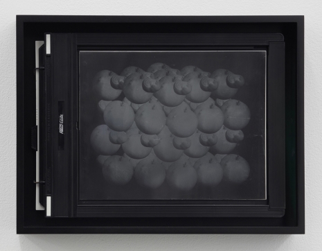 Simon Starling, Recursive Plates (Still Life with Apples and Conkers or Silver Iodine Molecule Model), 2022, Casey Kaplan