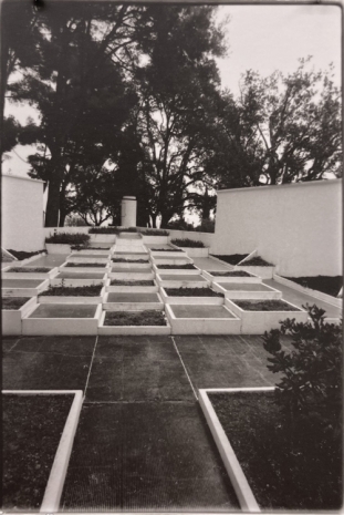 Charlotte Moth, #2 Image for the activation of an exhibition: 'Garden of Dreams'. Alberto Giacometti and Salvador Dali, Institute Giacometti, Paris, 2023 , Galería Marta Cervera