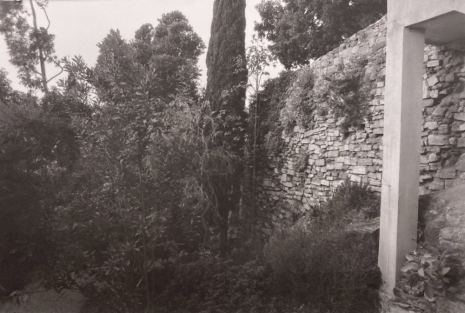 Charlotte Moth, #7 Image for the activation of an exhibition: 'Garden of Dreams'. Alberto Giacometti and Salvador Dali, Institute Giacometti, Paris, 2023 , Galería Marta Cervera