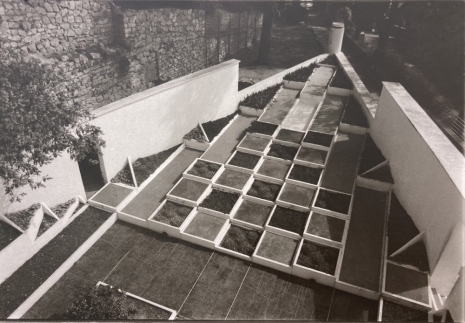 Charlotte Moth, #11 Image for the activation of an exhibition: 'Garden of Dreams'. Alberto Giacometti and Salvador Dali, Institute Giacometti, Paris, 2023 , Galería Marta Cervera