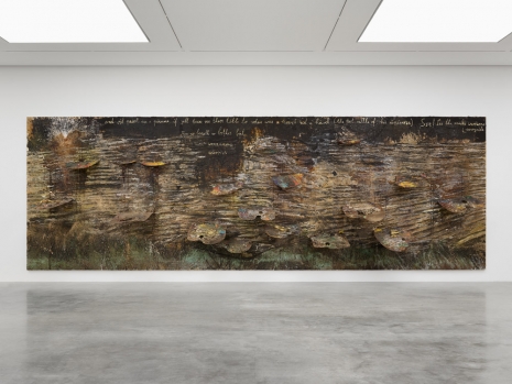 Anselm Kiefer, And oil paint use a pumme, 2023, White Cube
