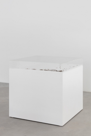 Jason Dodge, Gerhard Richter, Editions, 1965-2012, , Galleria Franco Noero