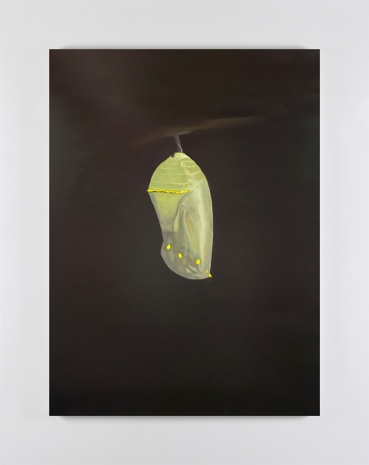 Vanessa Jones , Chrysalis, 2023 , Kerlin Gallery