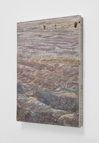 Anri Sala, Surface to Air I (Tartaruga/Morning), 2023 , Galerie Chantal Crousel