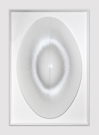 Alberto Biasi,  Luce ovale dinamica, 2011, Cardi Gallery