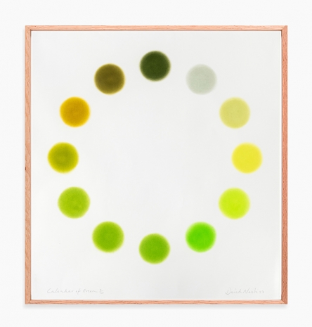 David Nash, Calendar of Green, 2023 , Galerie Lelong & Co.