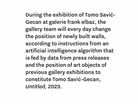 Tomo Savić-Gecan, Untitled, 2023, galerie frank elbaz