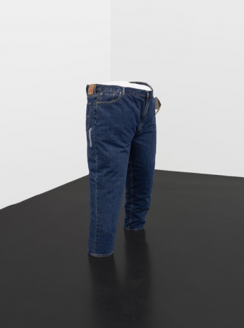 Lutz Bacher, Levi’s 2, 2018 , Galerie Buchholz