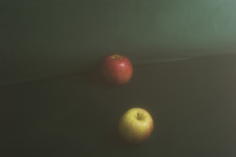 Morten Andenæs, Complimentary apples, 2022 , Galleri Riis