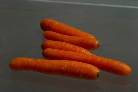 Morten Andenæs, Five clean carrots, 2023 , Galleri Riis