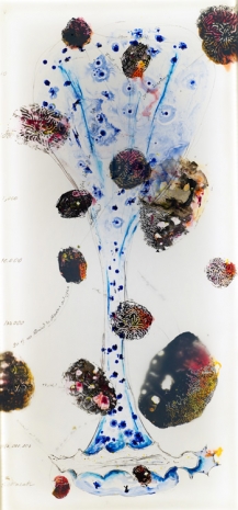 Marcos Lutyens, Coral Imaginary, 2023, Galerie Alberta Pane