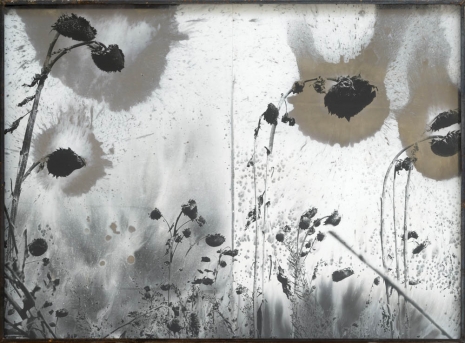 Anselm Kiefer, Les Fleurs du Mal (The Flowers of Evil), 1994–2012 , Gagosian