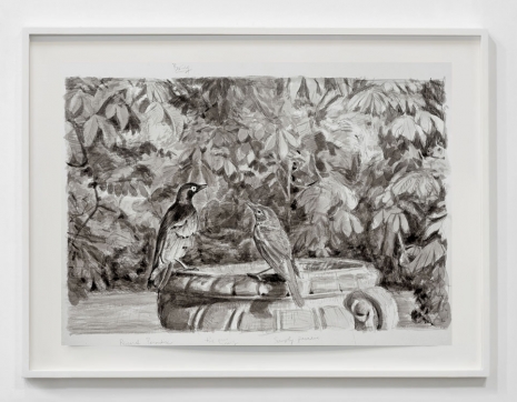 David Claerbout, Birdcage (Personal Paradise), 2022 , Pedro Cera