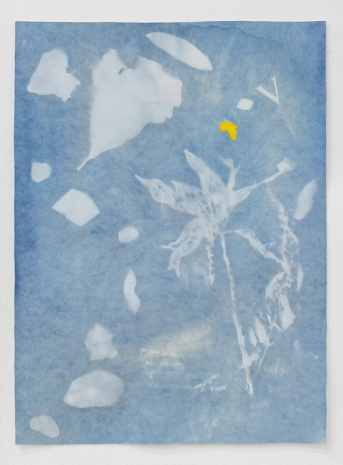 Monilola Olayemi Ilupeju, Birth of a Horologist (Cyanotype Print Series), 2023 , Galerie Elisabeth & Klaus Thoman