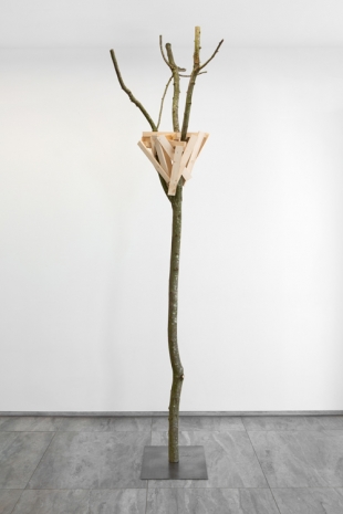 Tadashi Kawamata, NEST WITH TREE N°2, 2023, Mennour