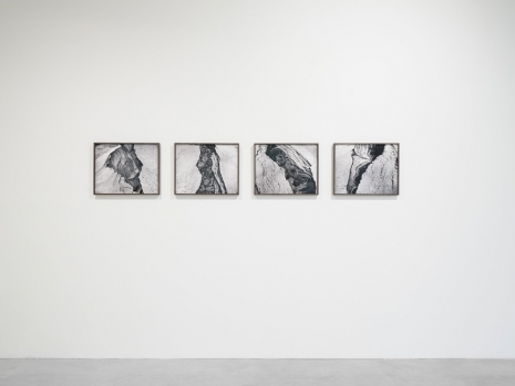 Elena Damiani, Tellurian signals N.1-4, 2023 , Galerie Nordenhake